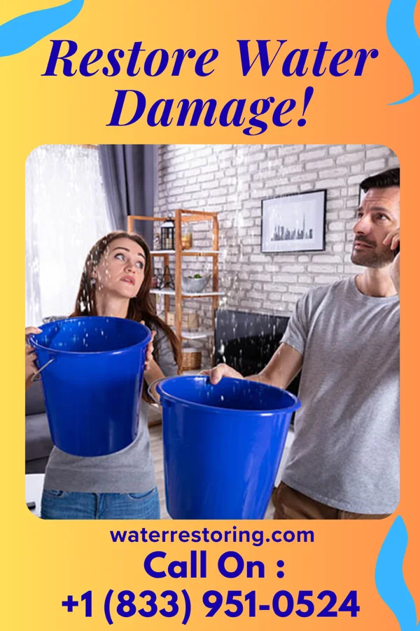 water restoration Master Water Cleanup Partners Spackenkill