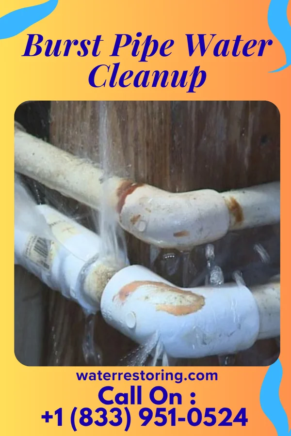 Burst Pipe Water Cleanup in Spackenkill, NY