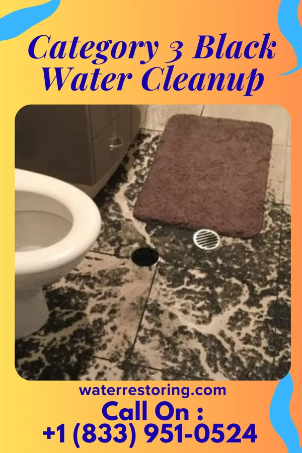 Category 3 Black Water Cleanup in Spackenkill, NY