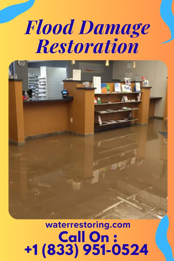 Flood Damage Restoration in Spackenkill, NY