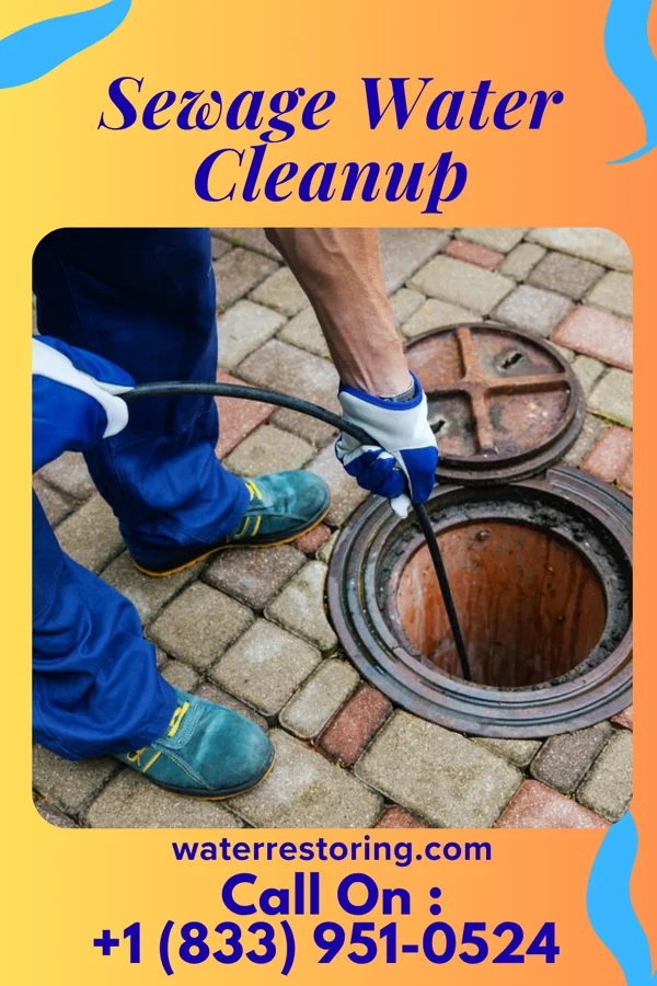 Sewage Water Cleanup in Spackenkill, NY